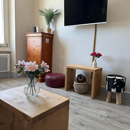Le Cocon Du Centre - Garage Prive *